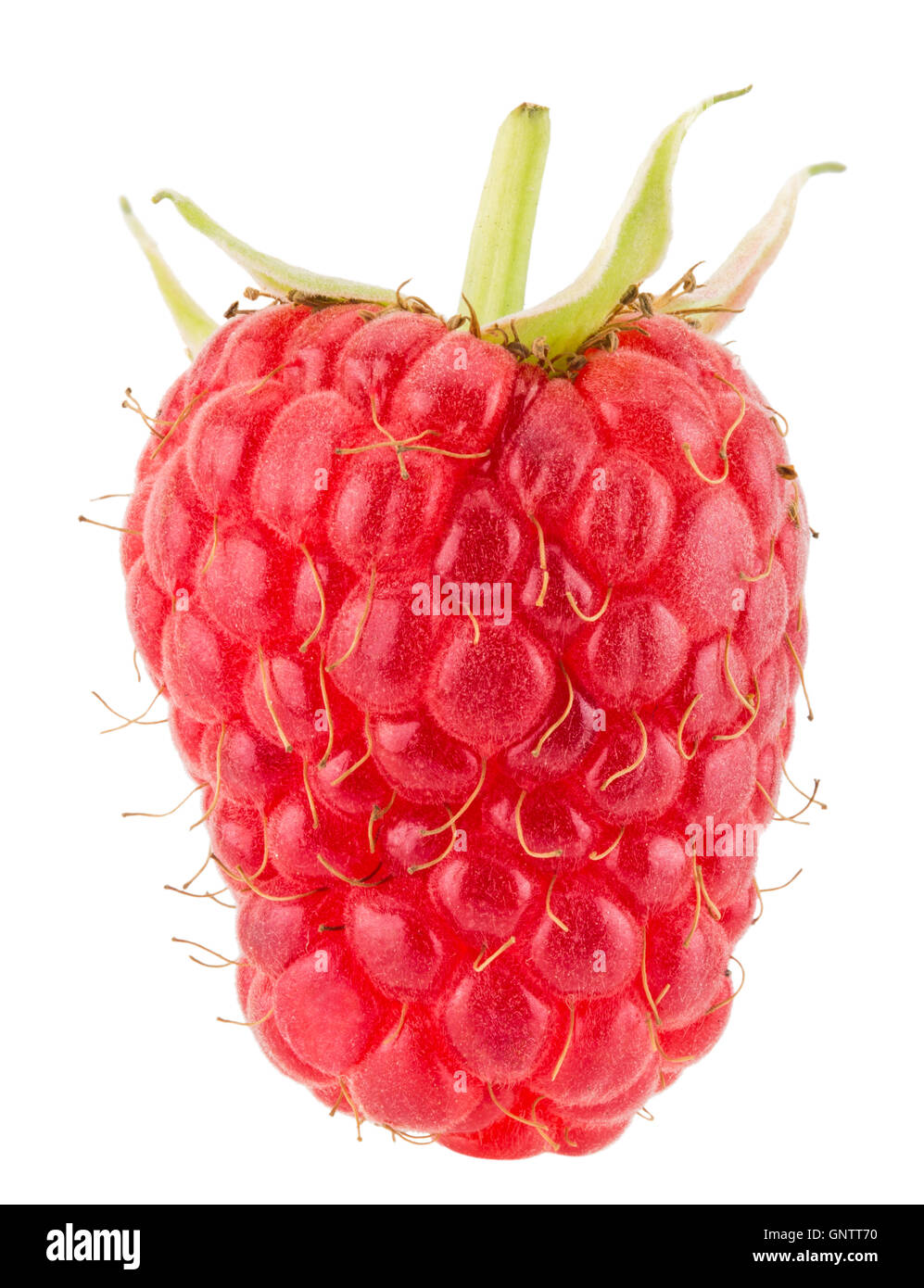 raspberry isolated on the white background. Stock Photo