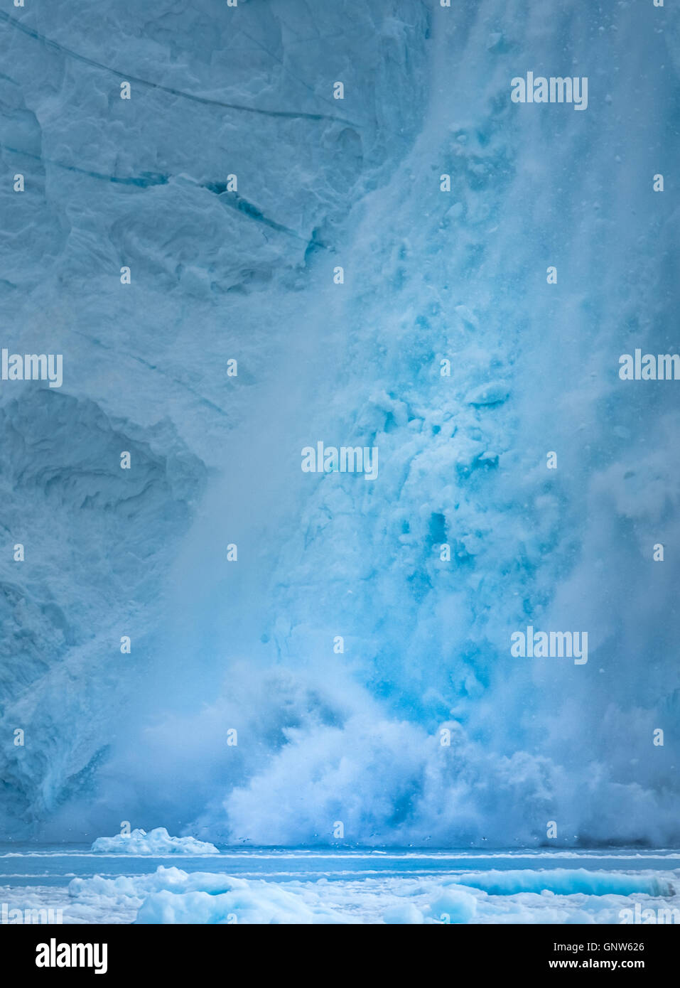 Rapidly calving Eqi glacier, huge icebergs are constantly formed ...