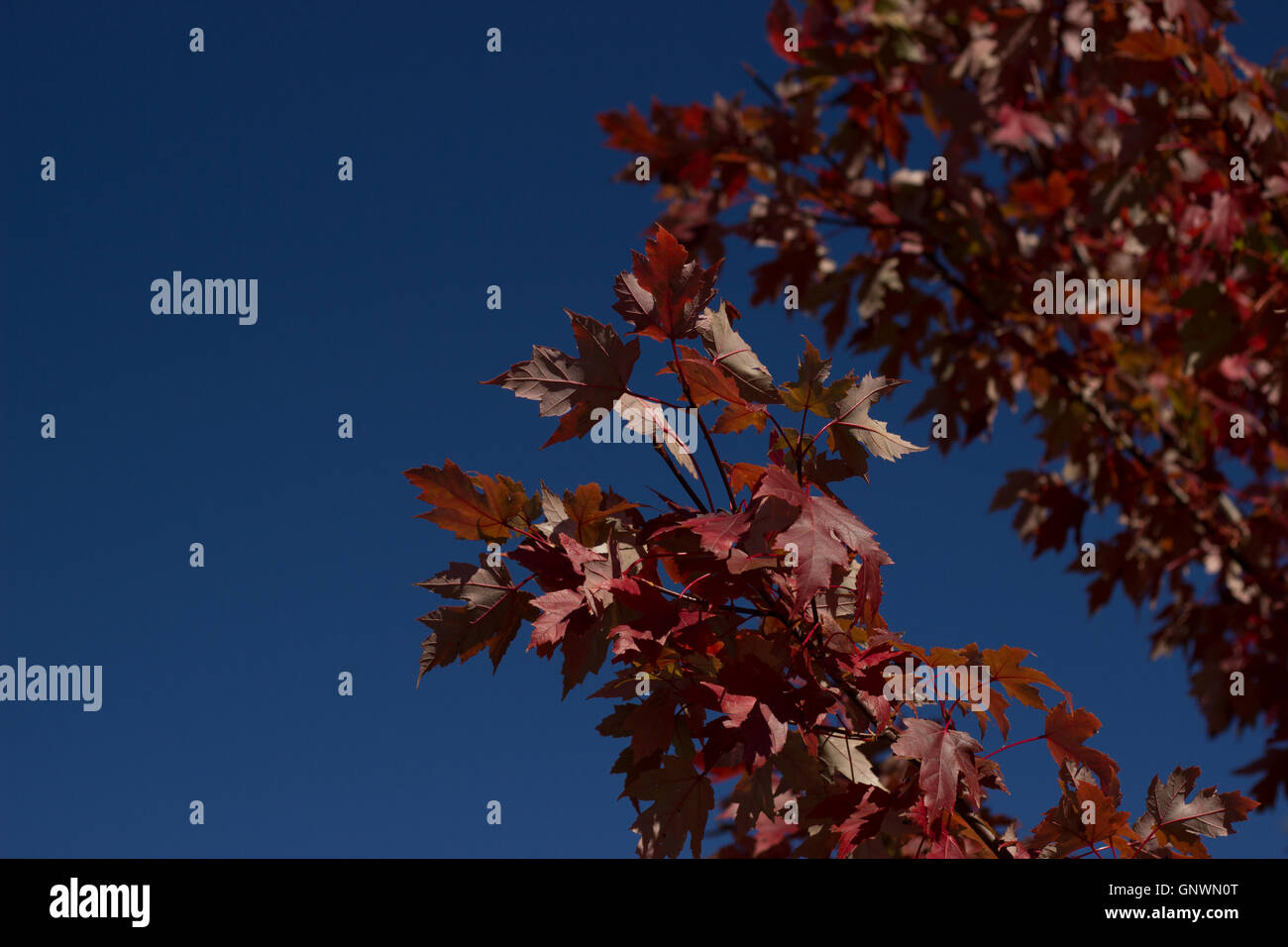 Waterloo ontario hi-res stock photography and images - Alamy