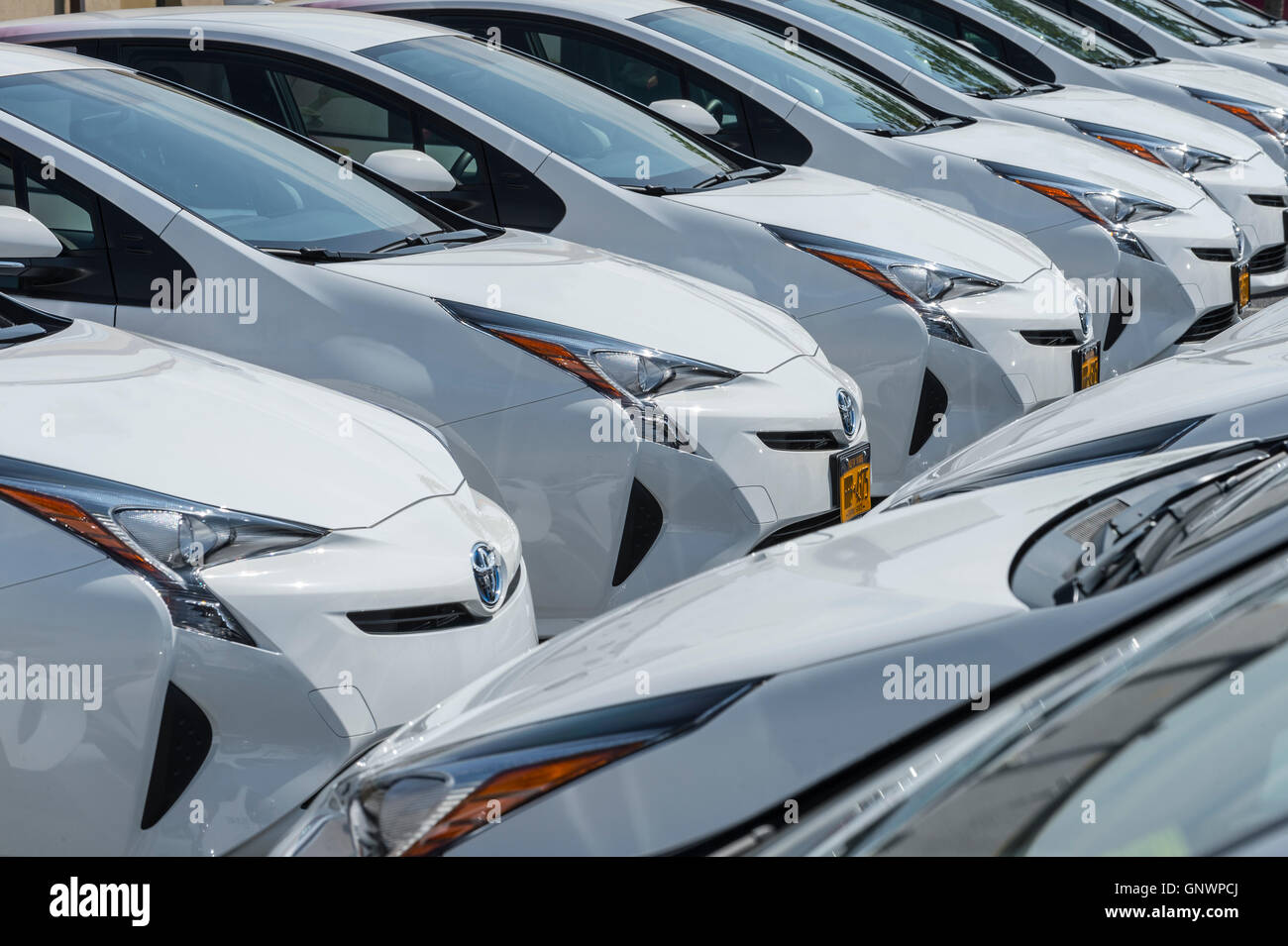 Rows Of White Cars In Car Dealership Parking Lot Stock Photo