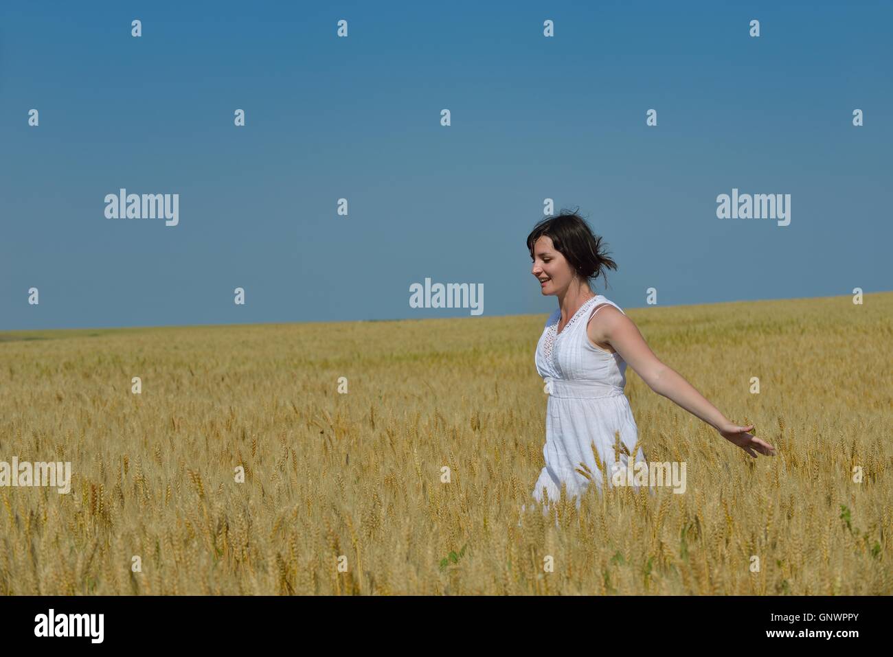 young woman in wheat field at summer Stock Photo - Alamy