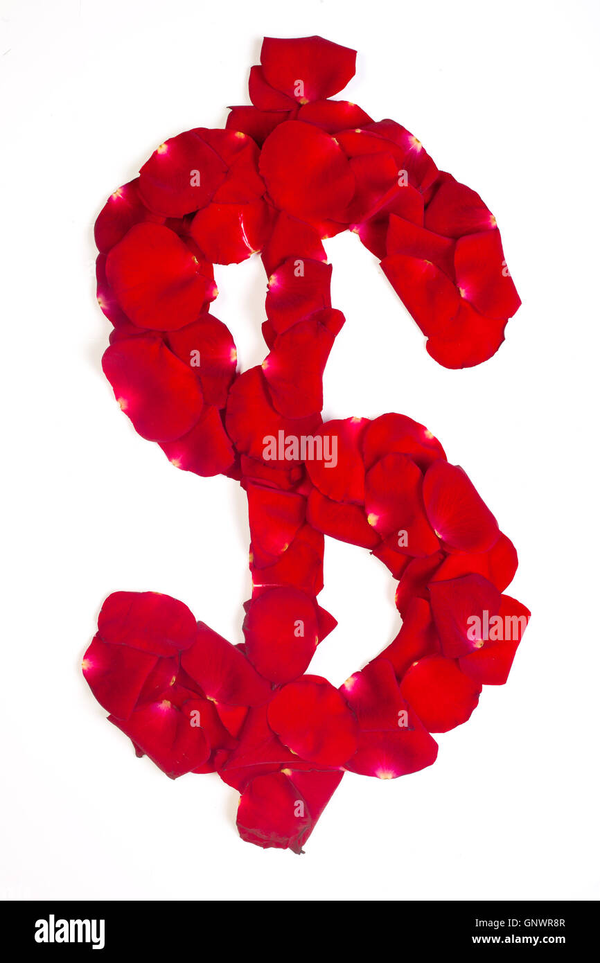 Symbol dollar made from red petals rose. Stock Photo