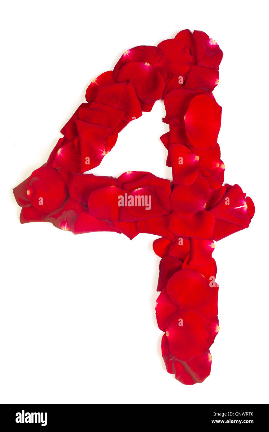 number 4 made from red petals rose on white Stock Photo