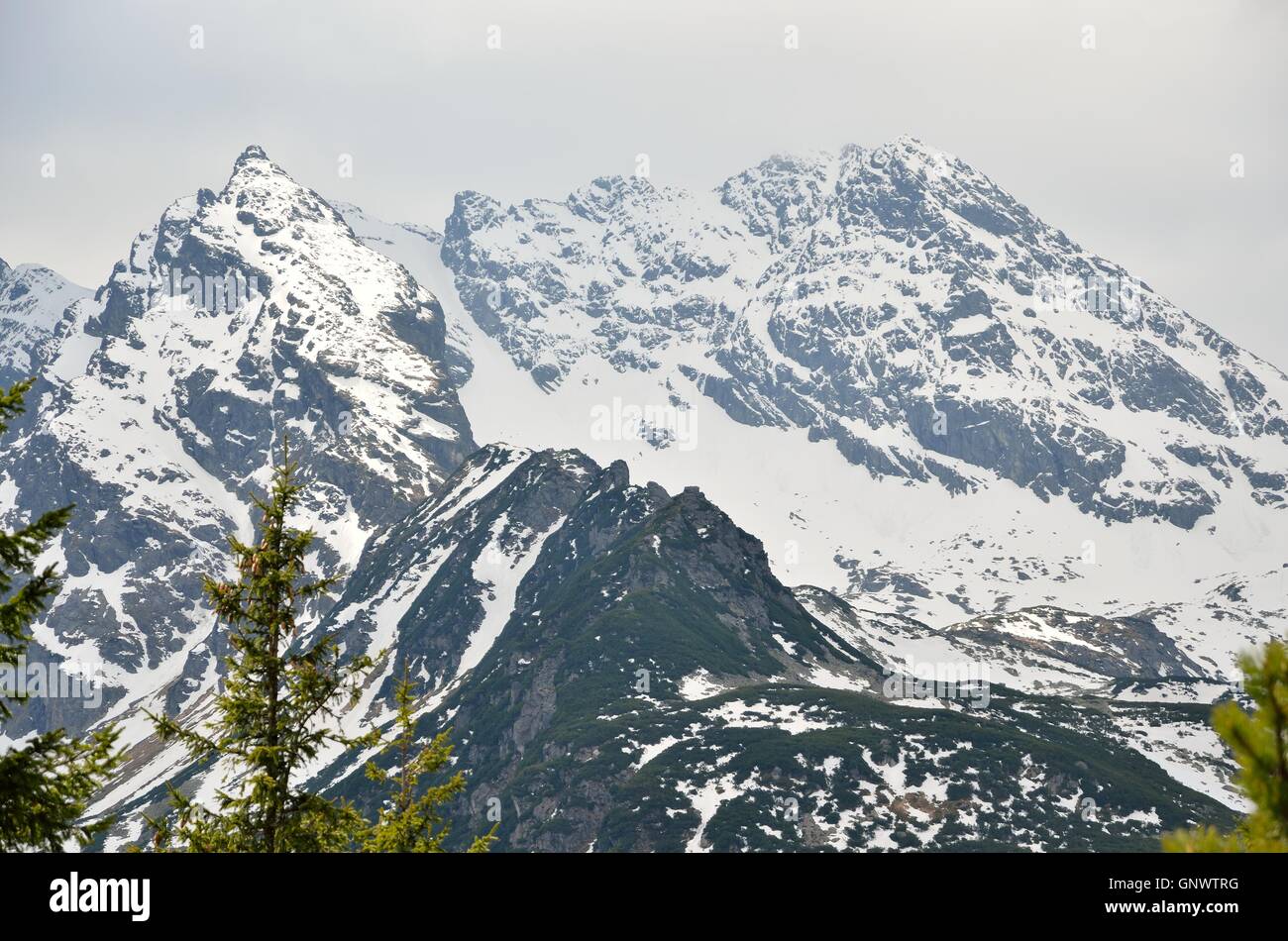 Snowy Rocky Mountain Peaks In High Tatra Mountains Poland Stock Photo Alamy Snowy Rocky Mountain Peaks In High Tatra Mountains Poland Stock Photo Alamy