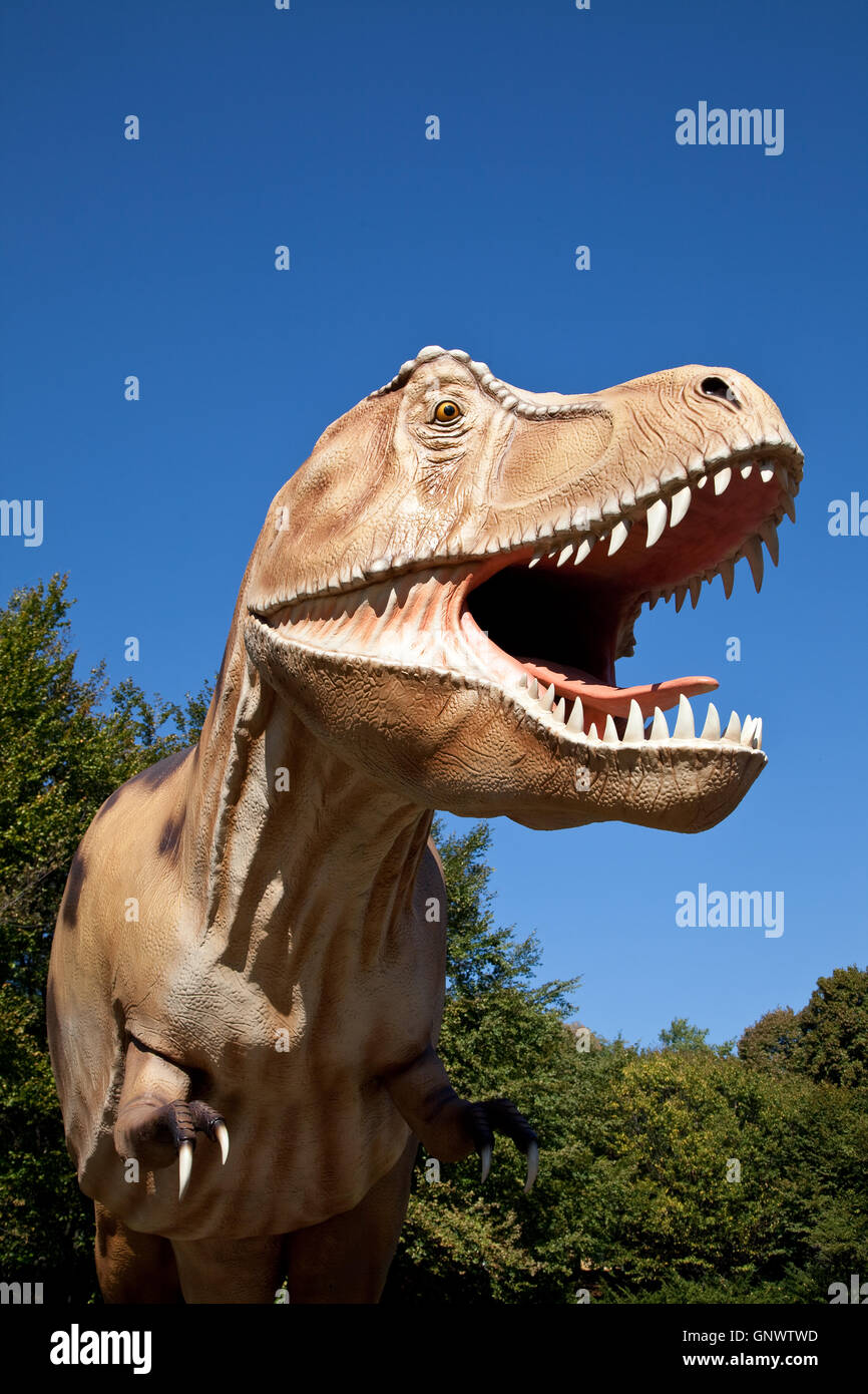 T rex hunting hi-res stock photography and images - Alamy