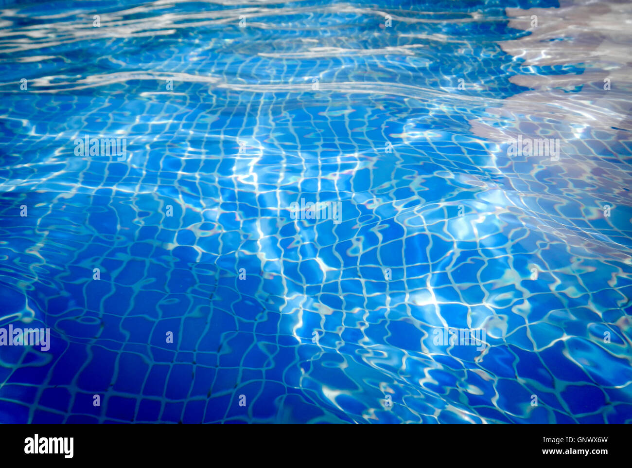 surface water in the pool, caustic lights Stock Photo Alamy