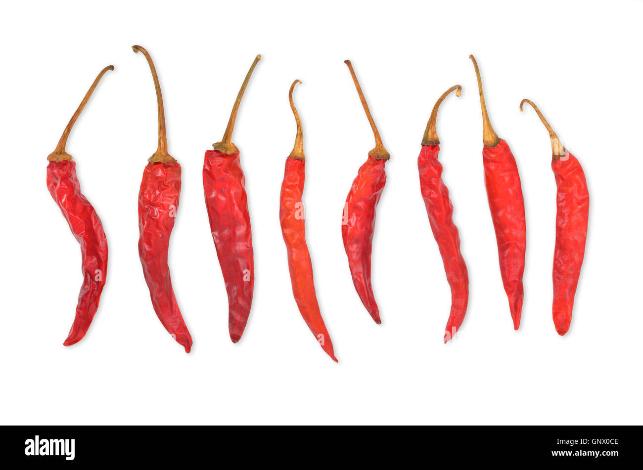Dried Chili Peppers Stock Photo