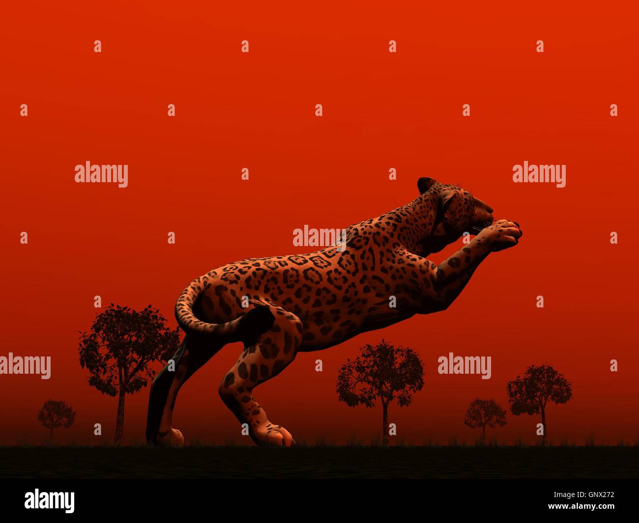 Panther jumping Stock Photo, Royalty Free Image: 116742502 - Alamy