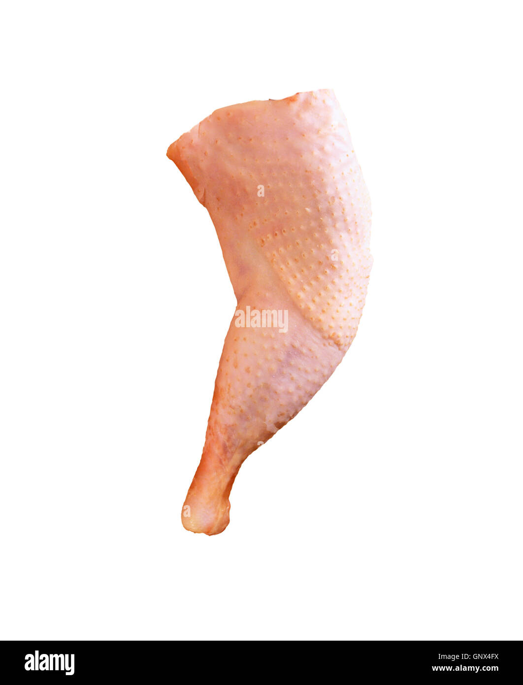 Jointed leg Cut Out Stock Images & Pictures Alamy