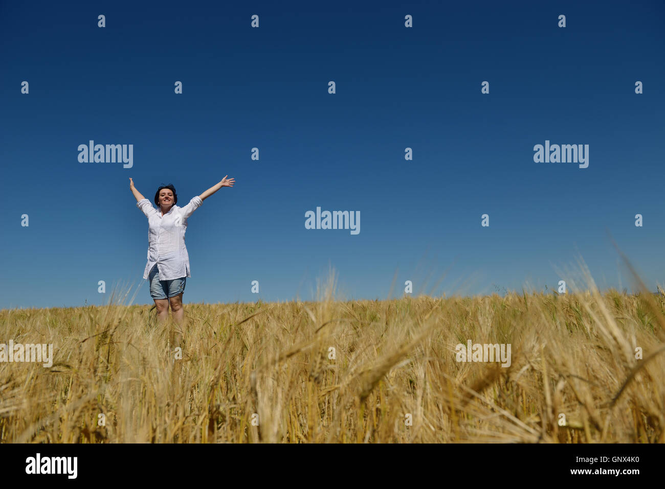 young woman in wheat field at summer Stock Photo - Alamy