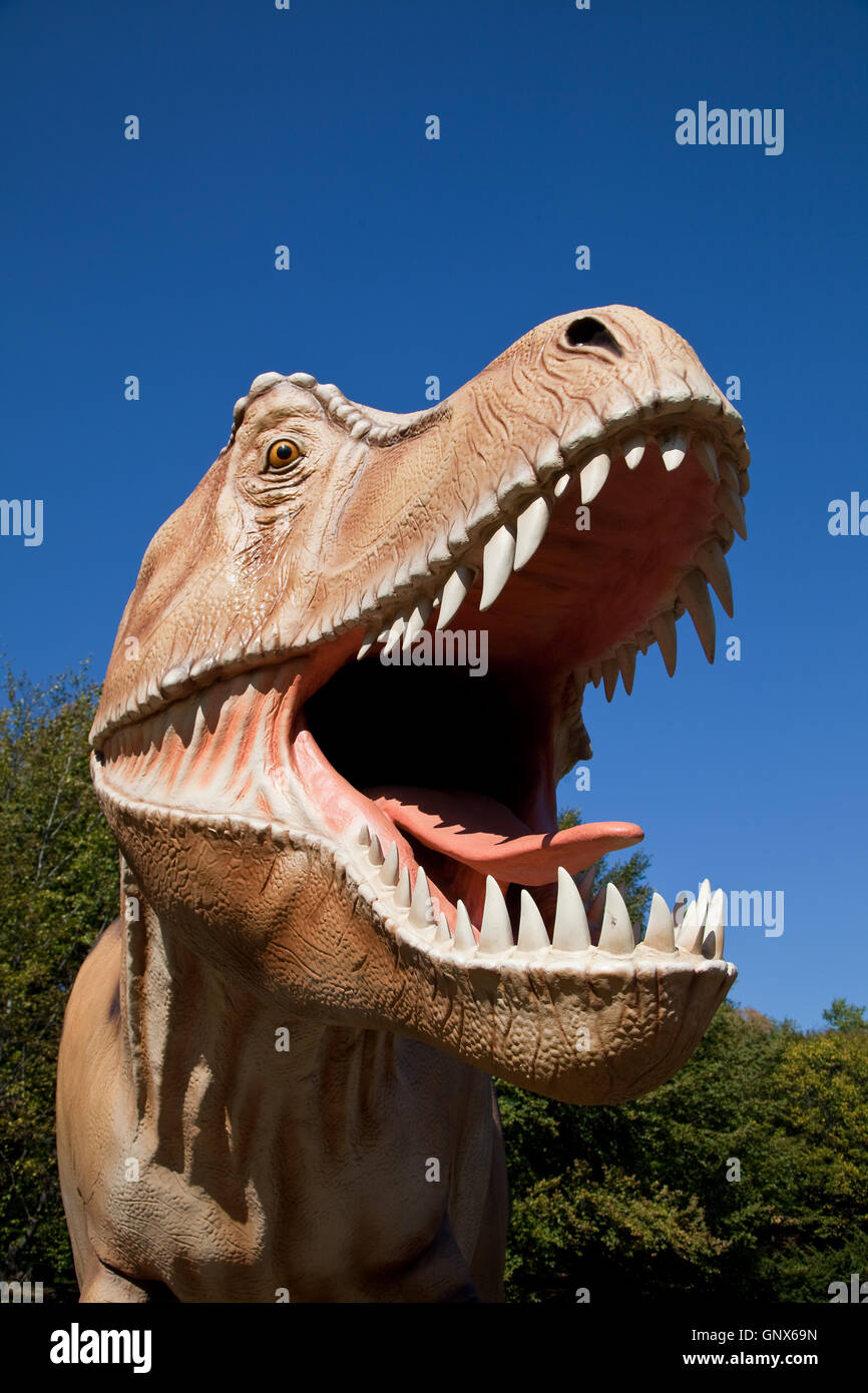 Aggressive T-Rex Stock Photo