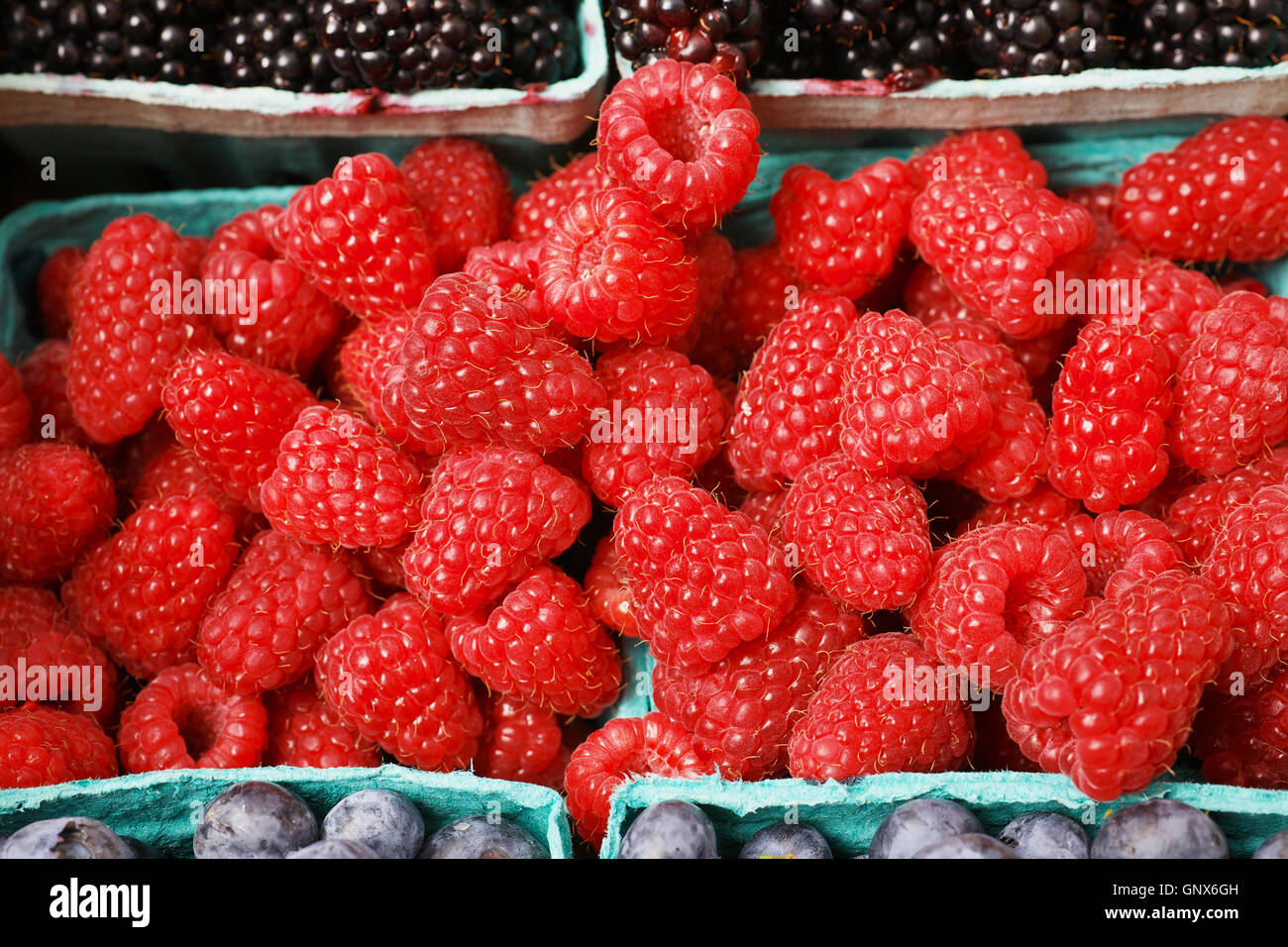 Stock Photo Rasberries Pile of rasberries horizontal Stock Photo - Alamy