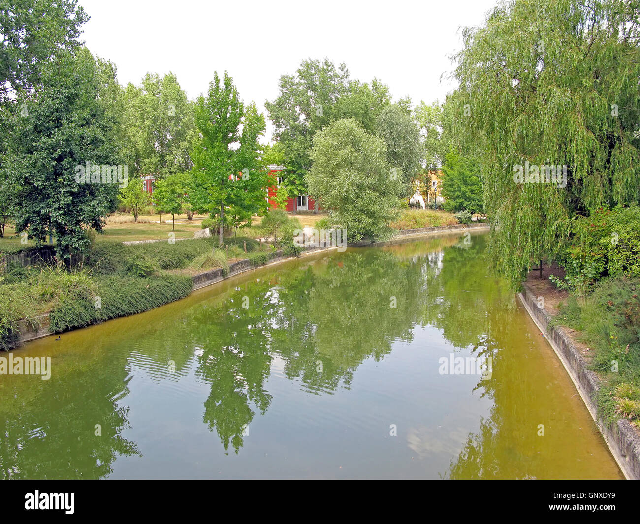A river flowing through the forest with reflections Stock Photo - Alamy