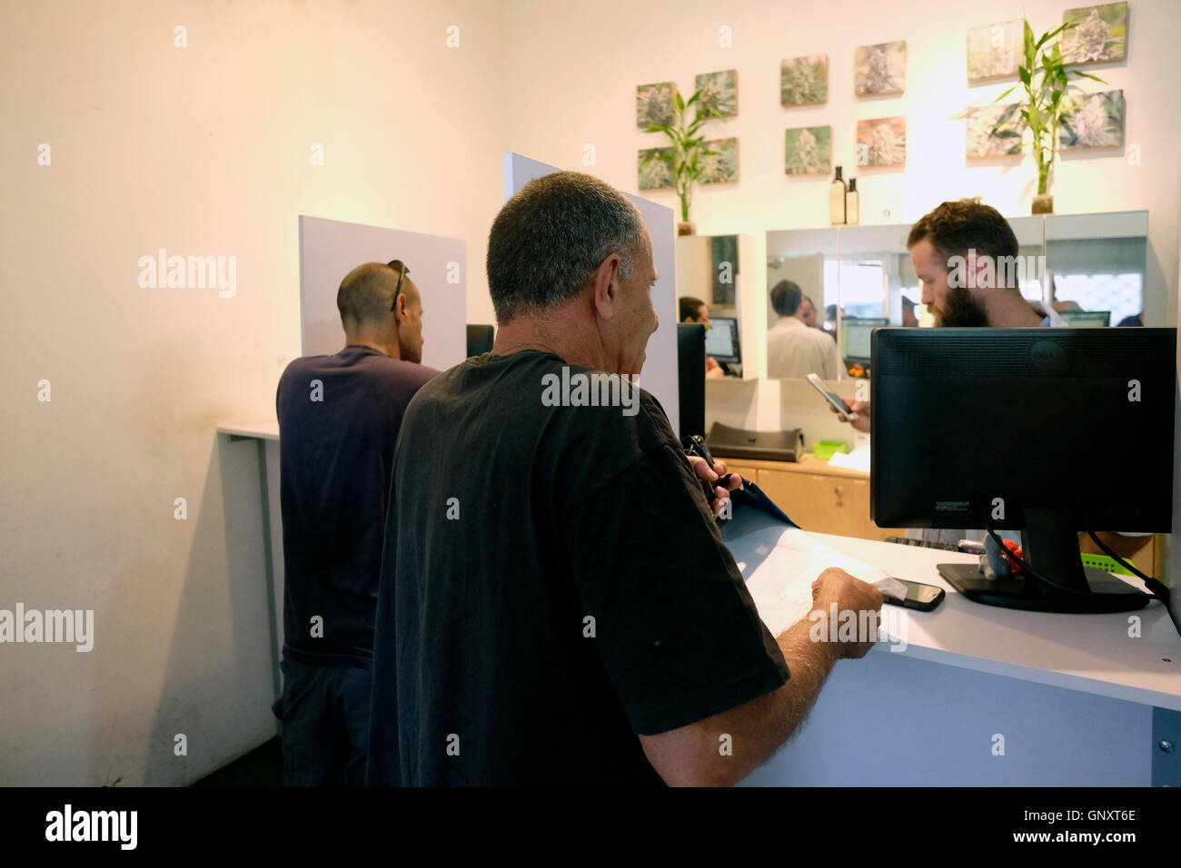 Israeli prescription-carrying patients  purchasing medical marijuana at a dispensary belonging to Tikun Olam, Israel's largest medical marijuana supplier in Tel Aviv on 01 September 2016. Israel is emerging as a world leader on the science of medical marijuana. In June, Israel approved a plan to ease restrictions on growing medical marijuana and announced that medical marijuana would eventually become a major growth and export industry. Stock Photo