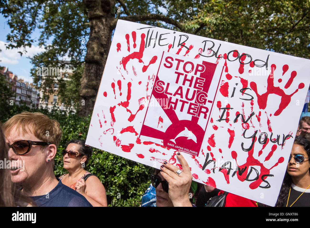 Dolphin massacre hires stock photography and images Alamy