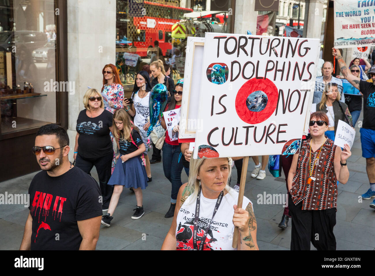 Dolphin massacre hires stock photography and images Alamy