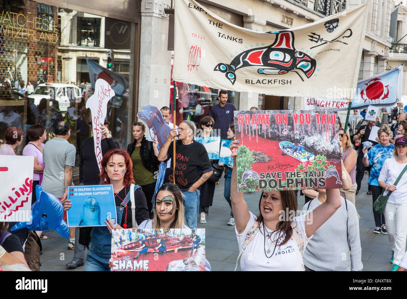 Dolphin Massacre High Resolution Stock Photography and Images Alamy