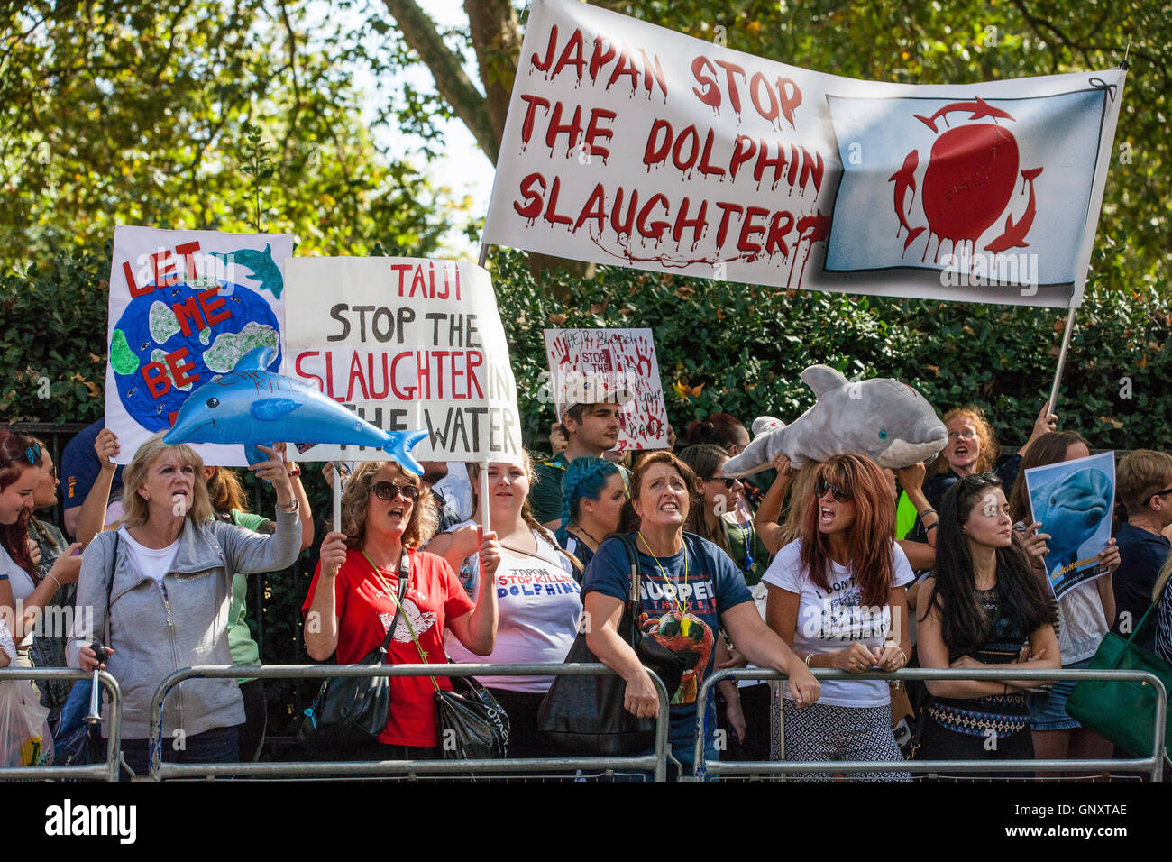 London, UK. 1st Sep, 2016. Activists from London against the Dolphin Massacre and Ric O'Barry's Dolphin Project protest outside the Japanese embassy on Japan Dolphins Day against the annual capture and slaughter of dolphins at a cove near Taiji in Japan. Credit:  Mark Kerrison/Alamy Live News Stock Photo