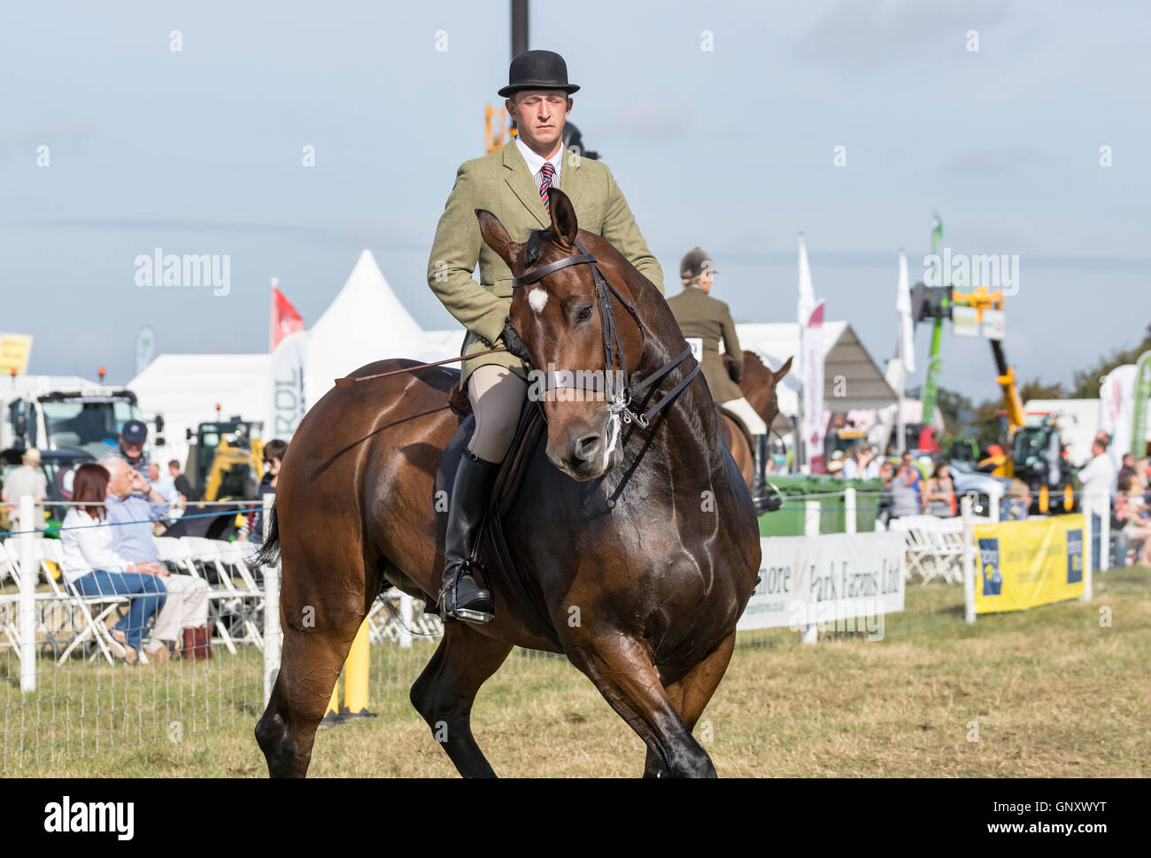 The Bucks County Show, Area Trial showjumping Ridden Hunter Championship Credit:  Scott Carruthers/Alamy Live News Stock Photo