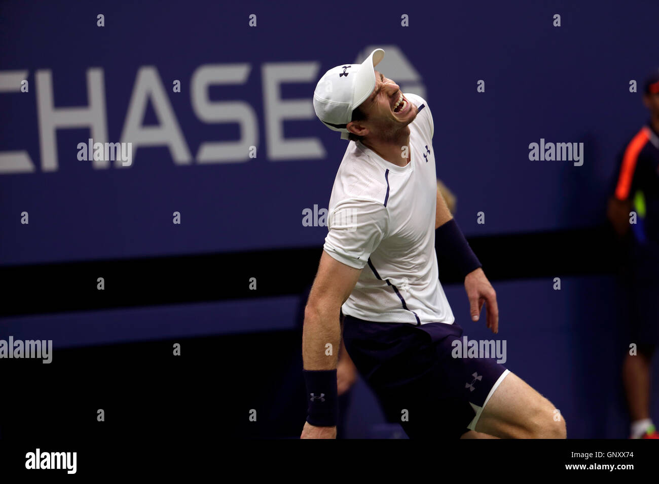 New York, USA. 1st Sep, 2016. Andy Murray of Great Britain reacts to a point during his second round match against Marcel Granollers of Spain at the United States Open Tennis Championships at Flushing Meadows, New York on Thursday, September 1st. Credit:  Adam Stoltman/Alamy Live News Stock Photo