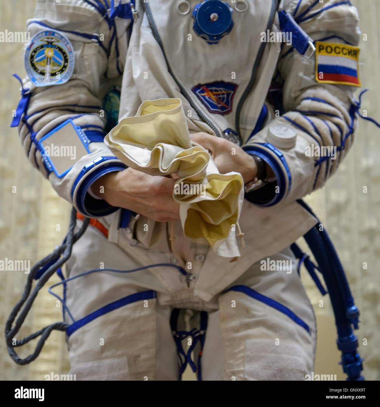 International Space Station Expedition 49-50 prime crew Russian cosmonaut Sergei Ryzhikov readies his Sokol spacesuit in preparation for the Soyuz qualification exams at the Gagarin Cosmonaut Training Center August 31, 2016 at Star City, Russia. Stock Photo