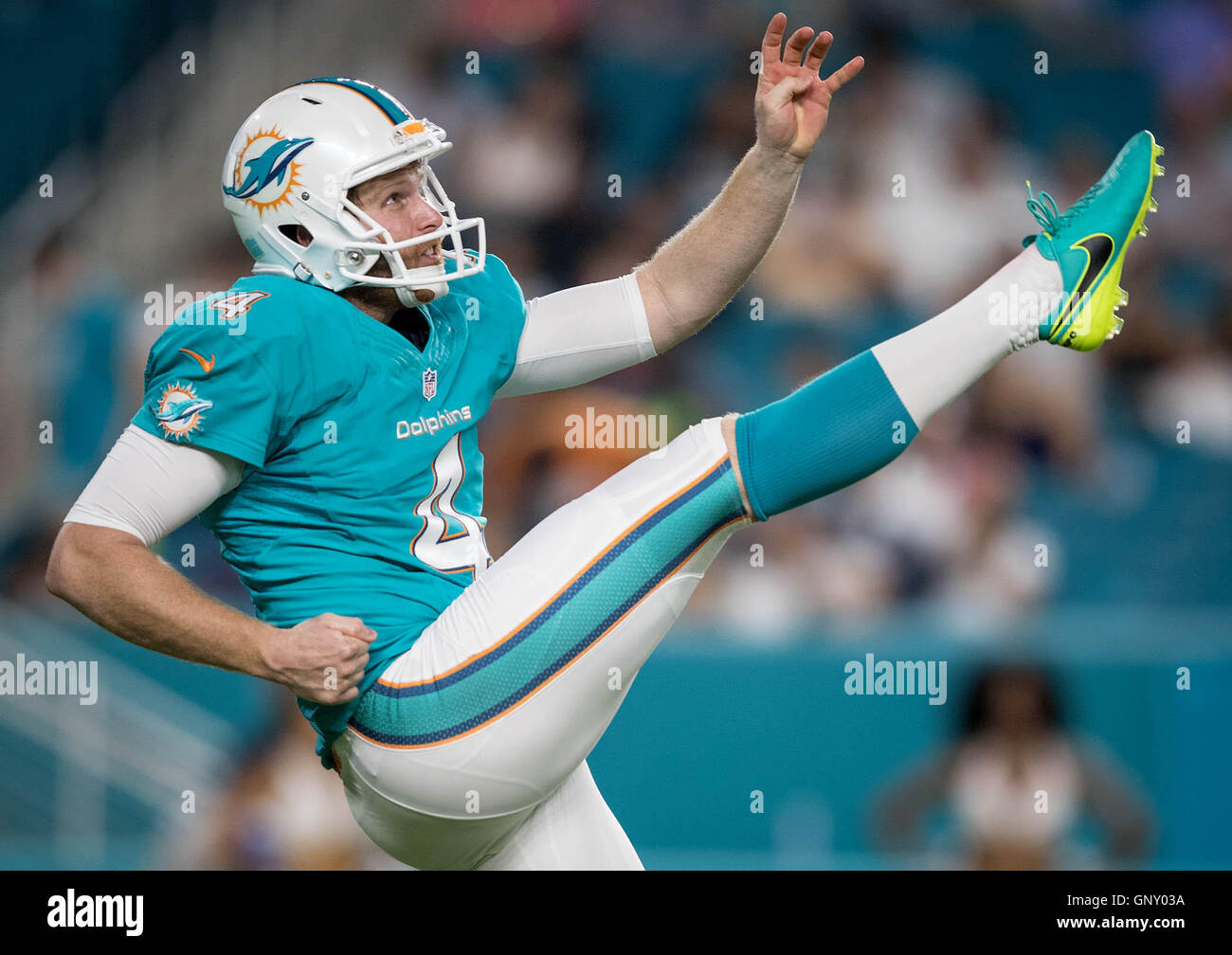 Miami dolphins punter hi-res stock photography and images - Alamy