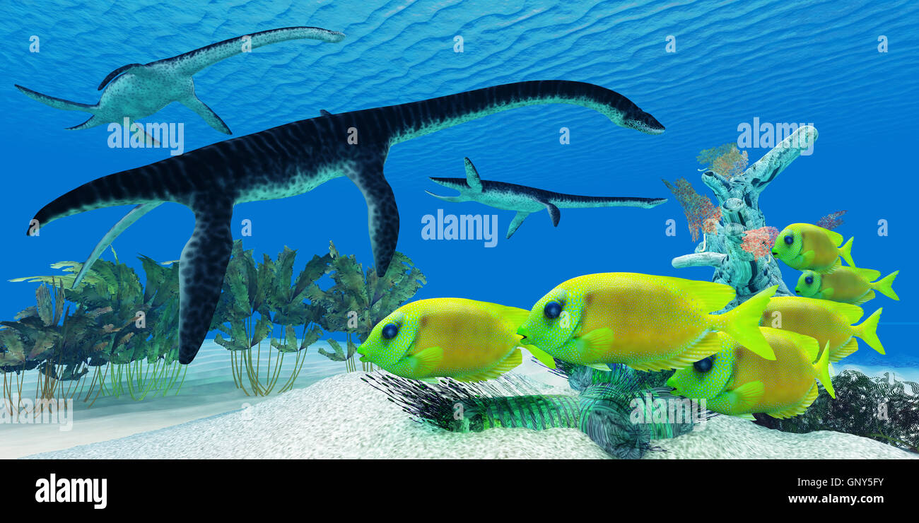 Plesiosaurus hi-res stock photography and images - Alamy