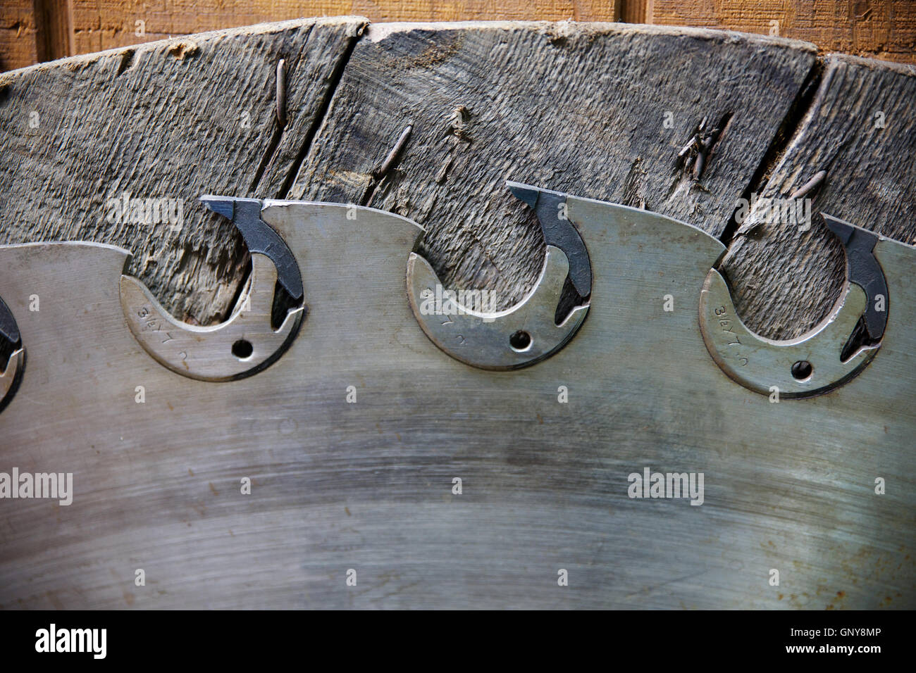 Lumber Saw Blade Stock Photo Alamy