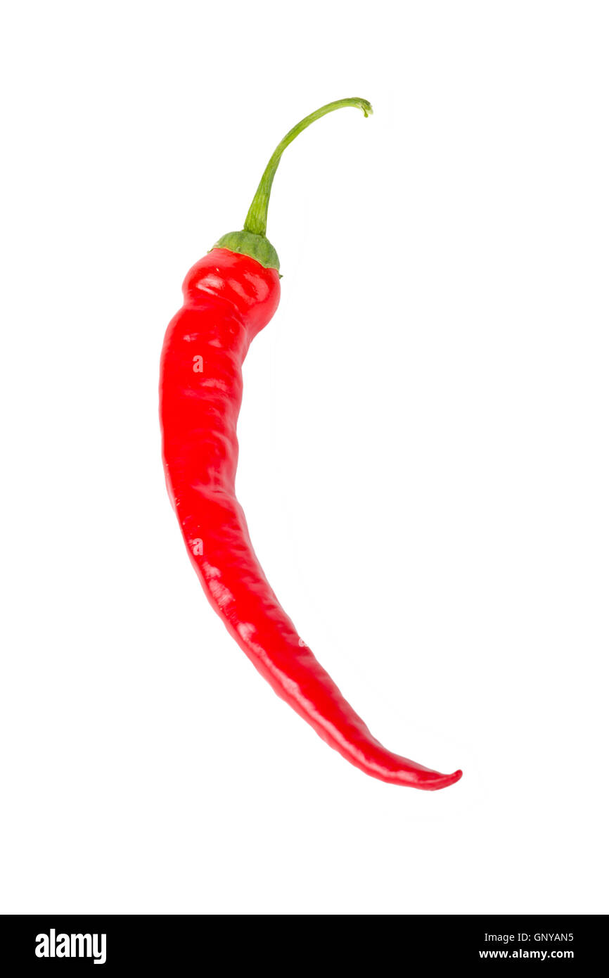 Red chili pepper Stock Photo Alamy