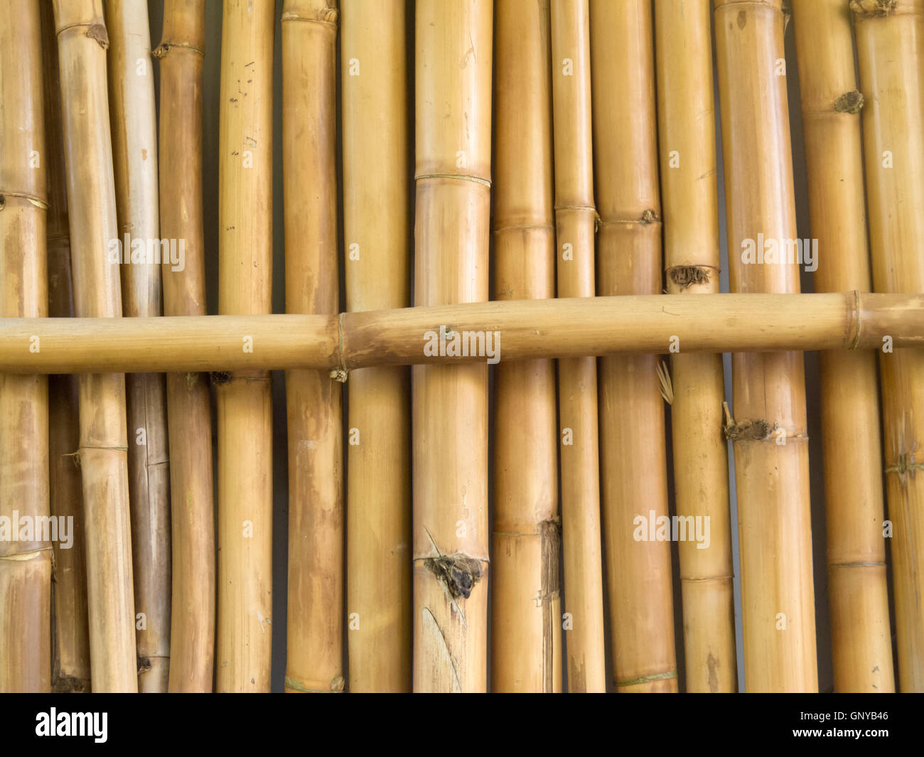 Background texture pattern of dried bamboo sticks Stock Photo