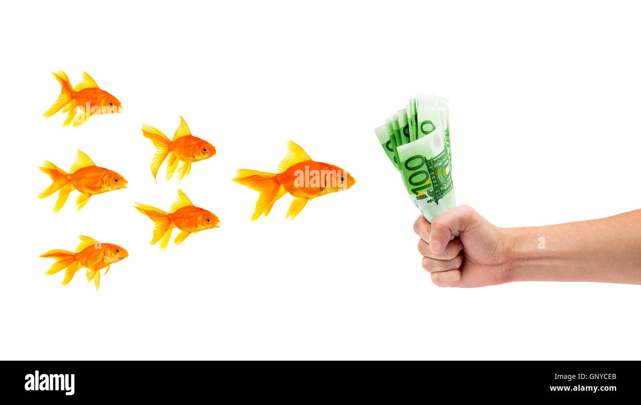Goldfish with money Stock Photo - Alamy