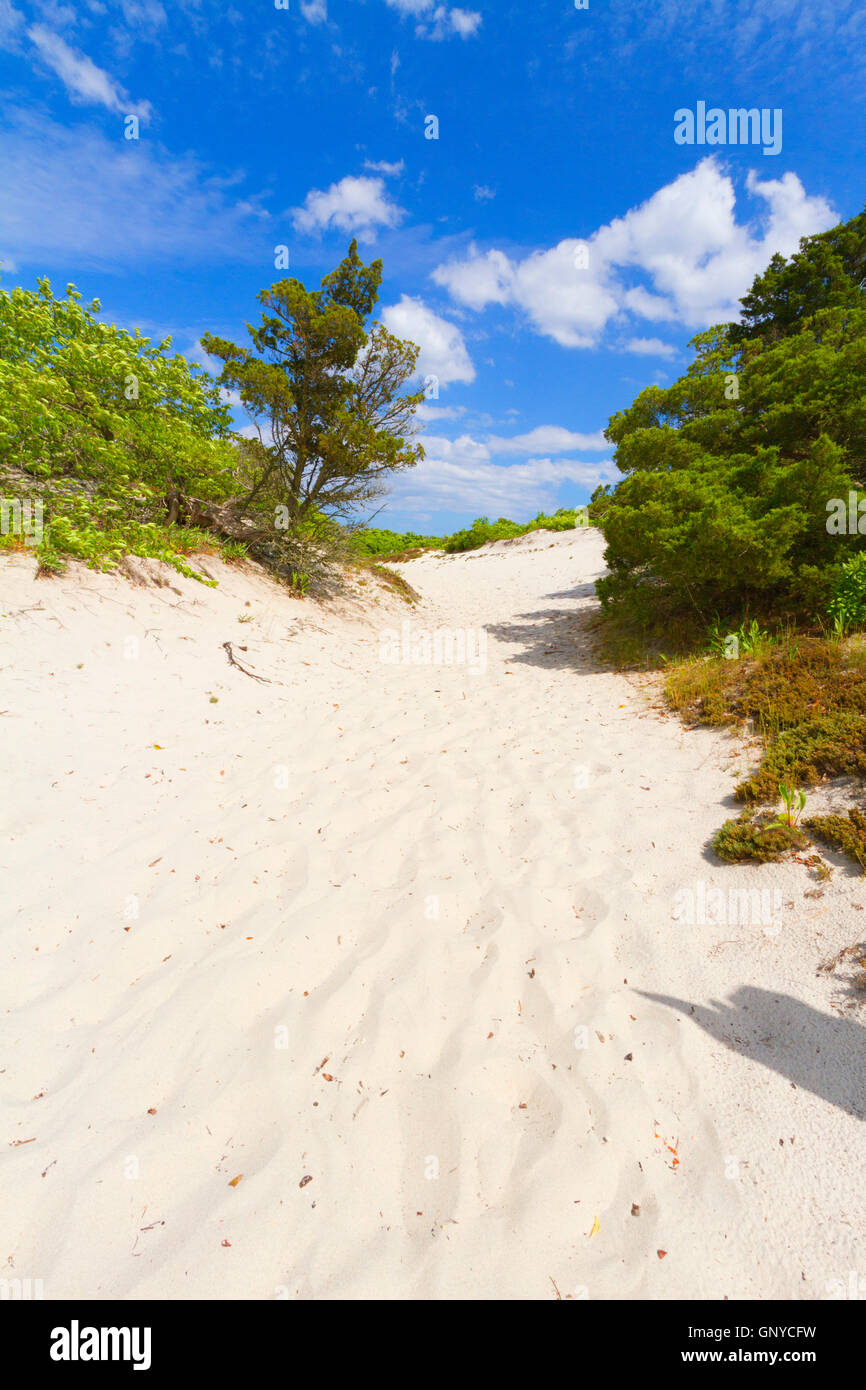 Sand dunes on the beach Stock Photo - Alamy