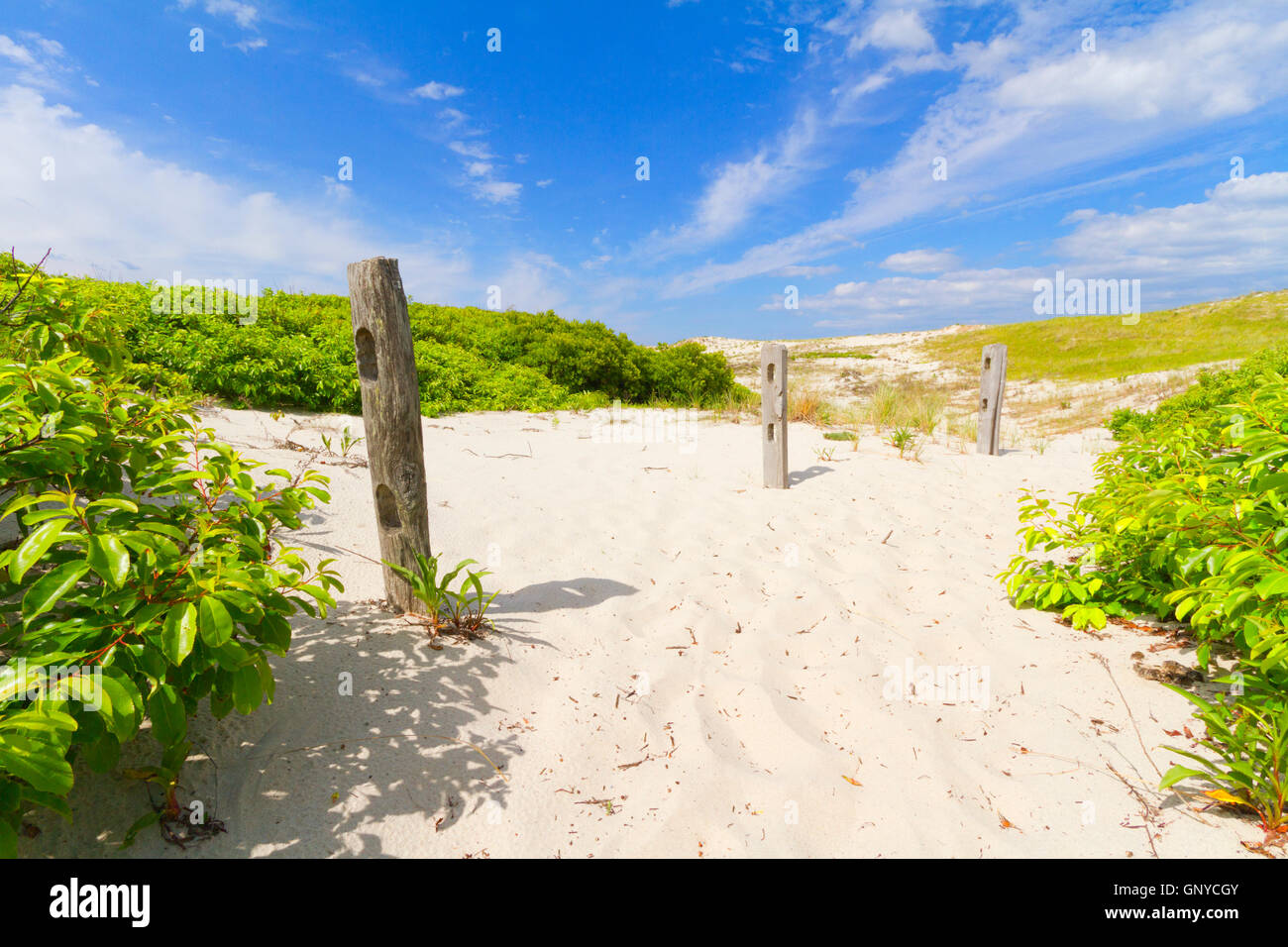 Sand dunes on the beach Stock Photo - Alamy