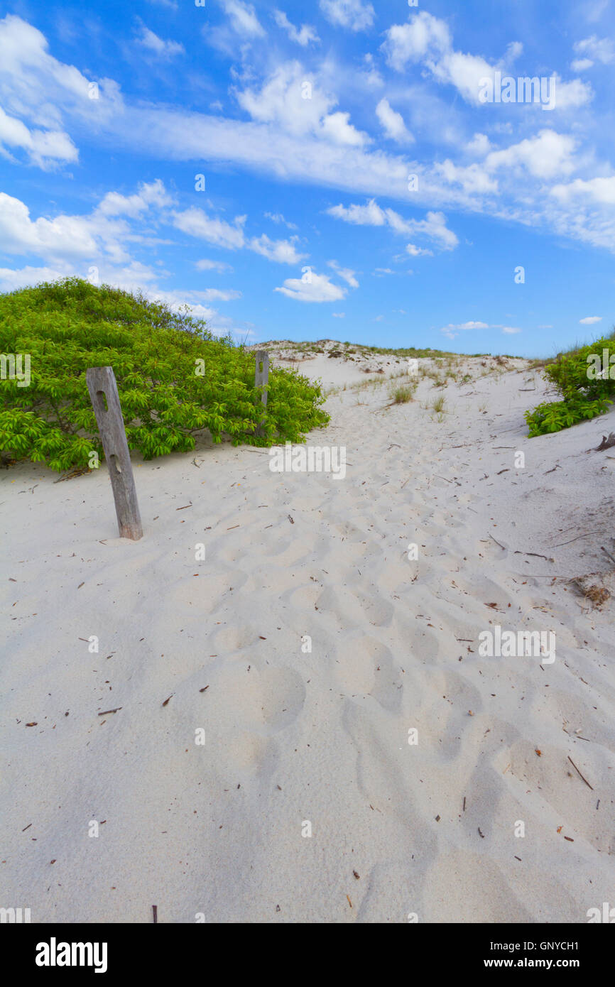 Sand dunes on the beach Stock Photo - Alamy