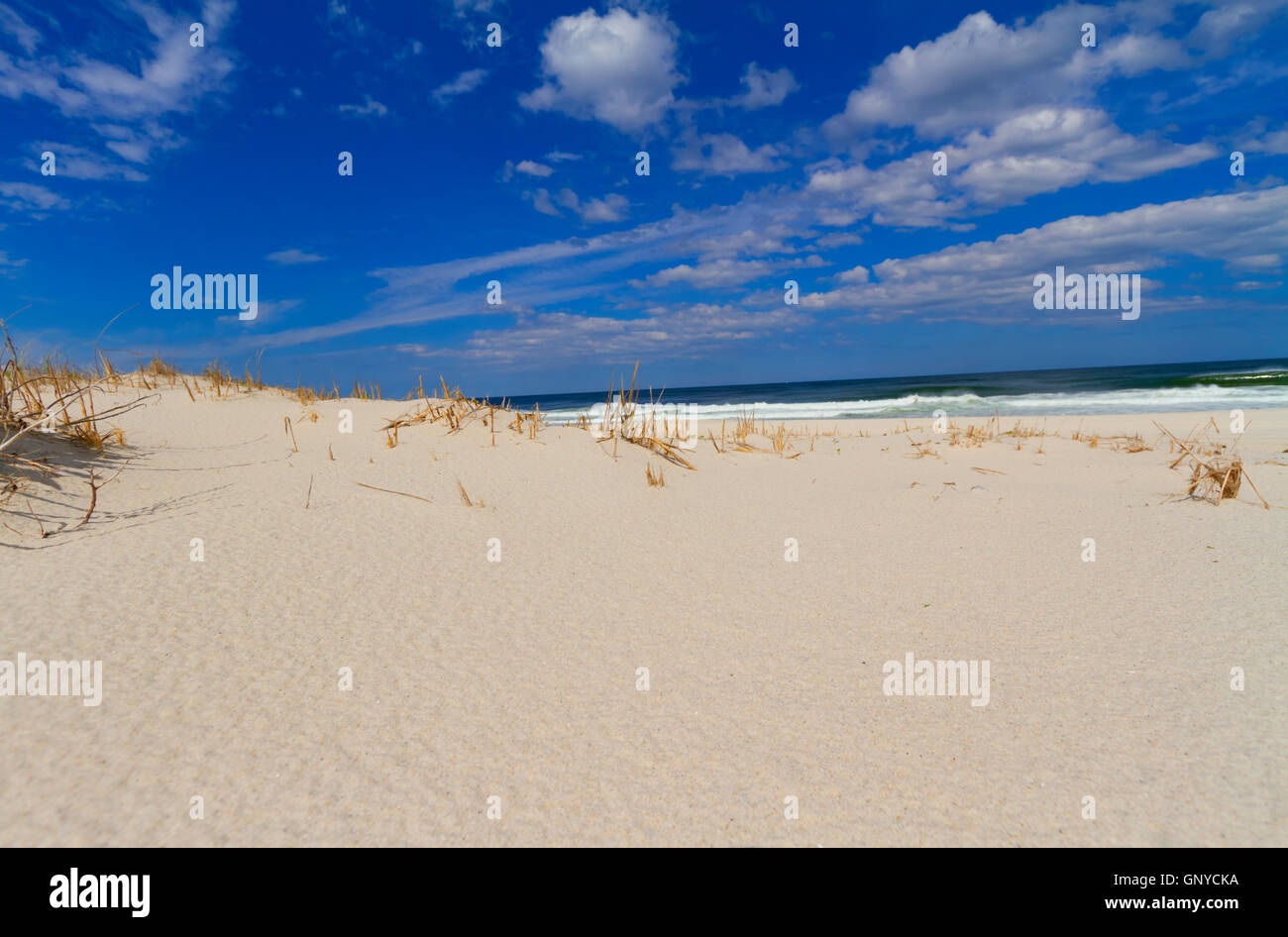 Sand dunes on the beach Stock Photo - Alamy