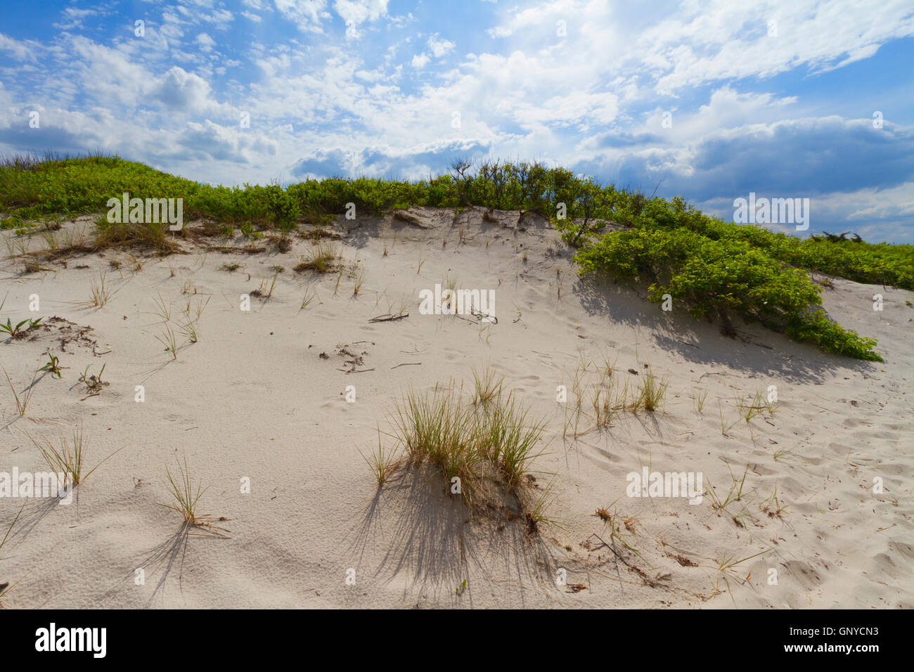 Sand dunes on the beach Stock Photo - Alamy