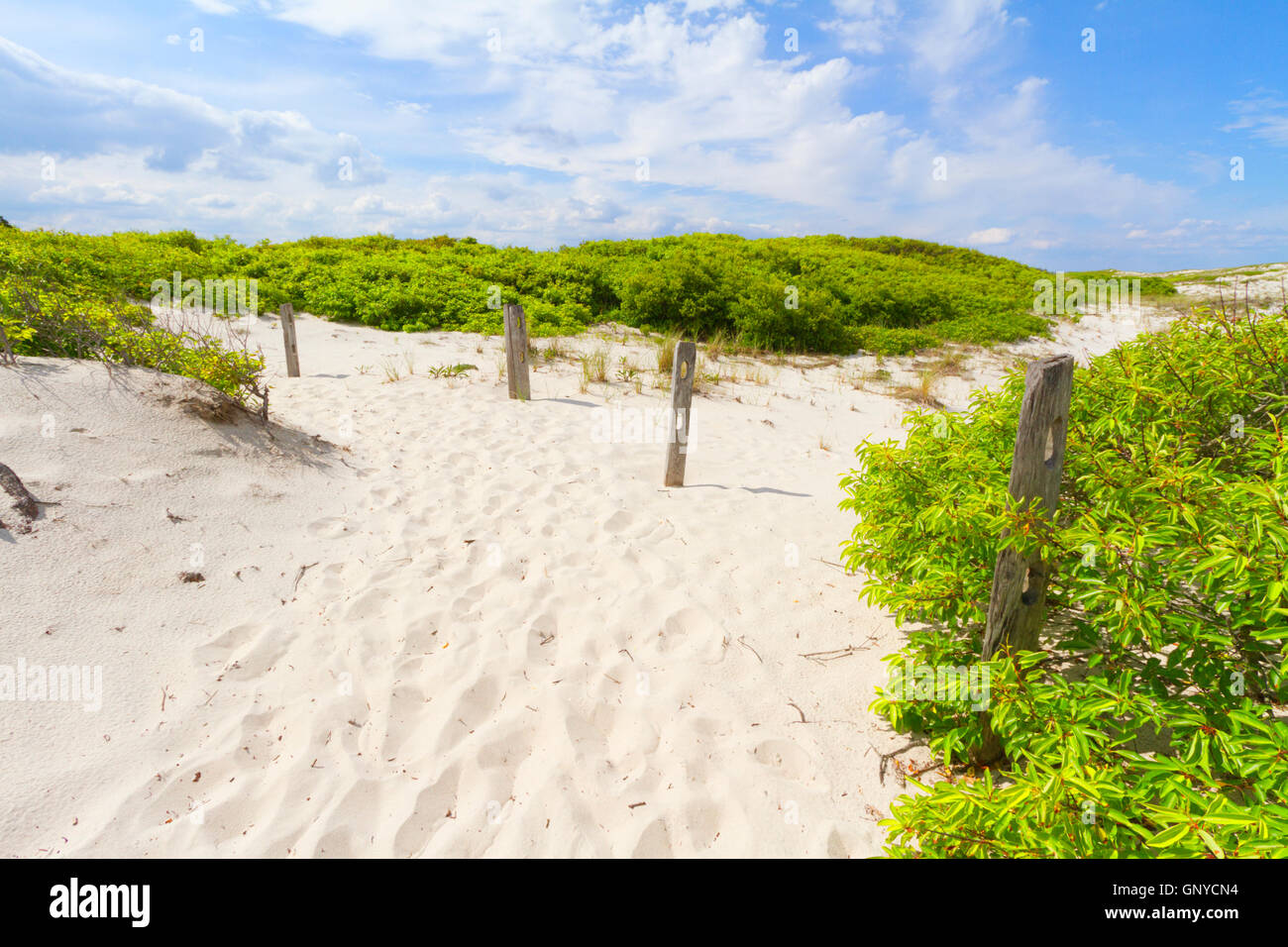 Sand dunes on the beach Stock Photo - Alamy