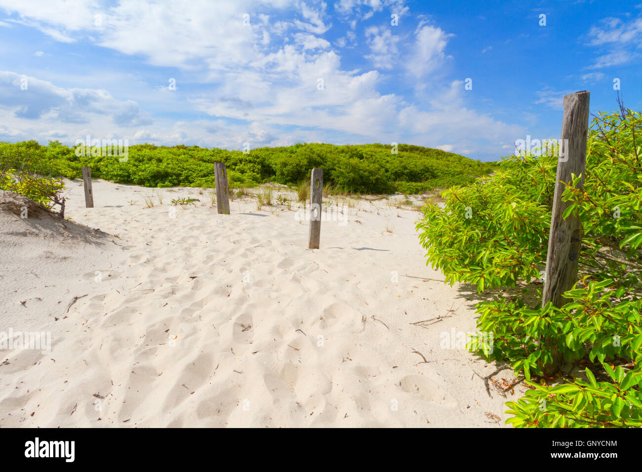 Sand dunes on the beach Stock Photo - Alamy