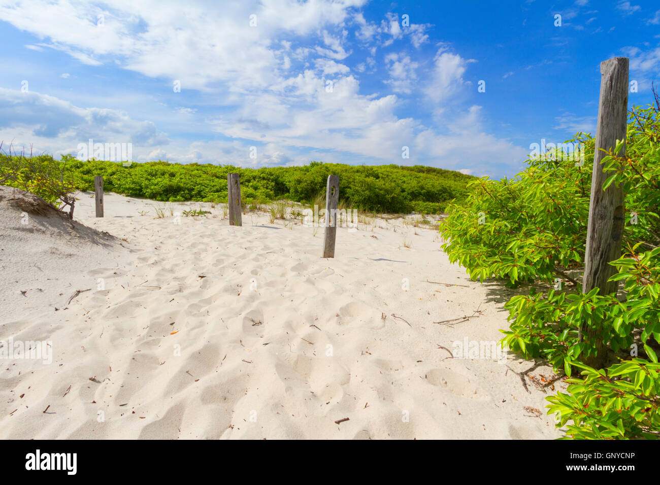 Sand dunes on the beach Stock Photo - Alamy