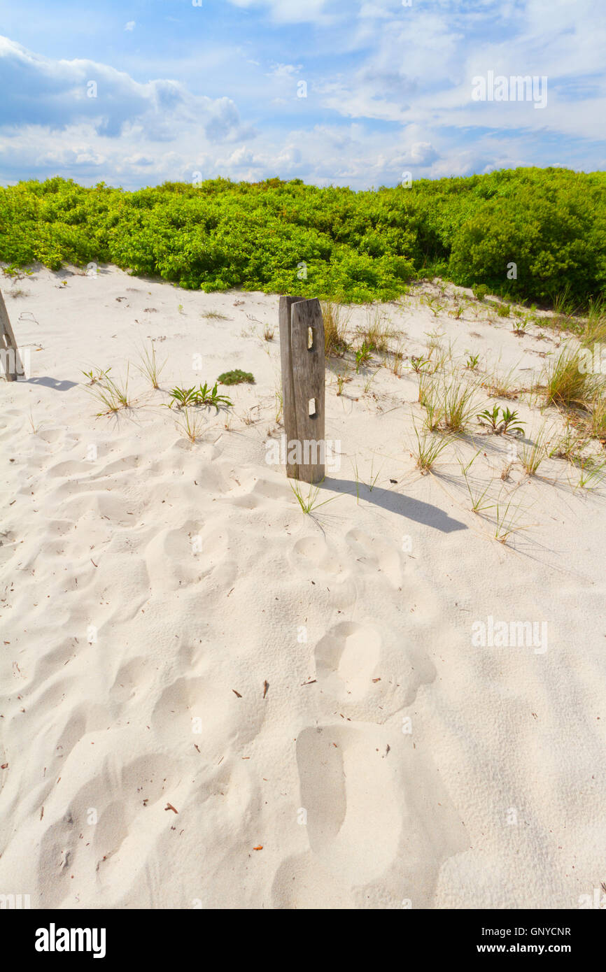 Sand dunes on the beach Stock Photo - Alamy