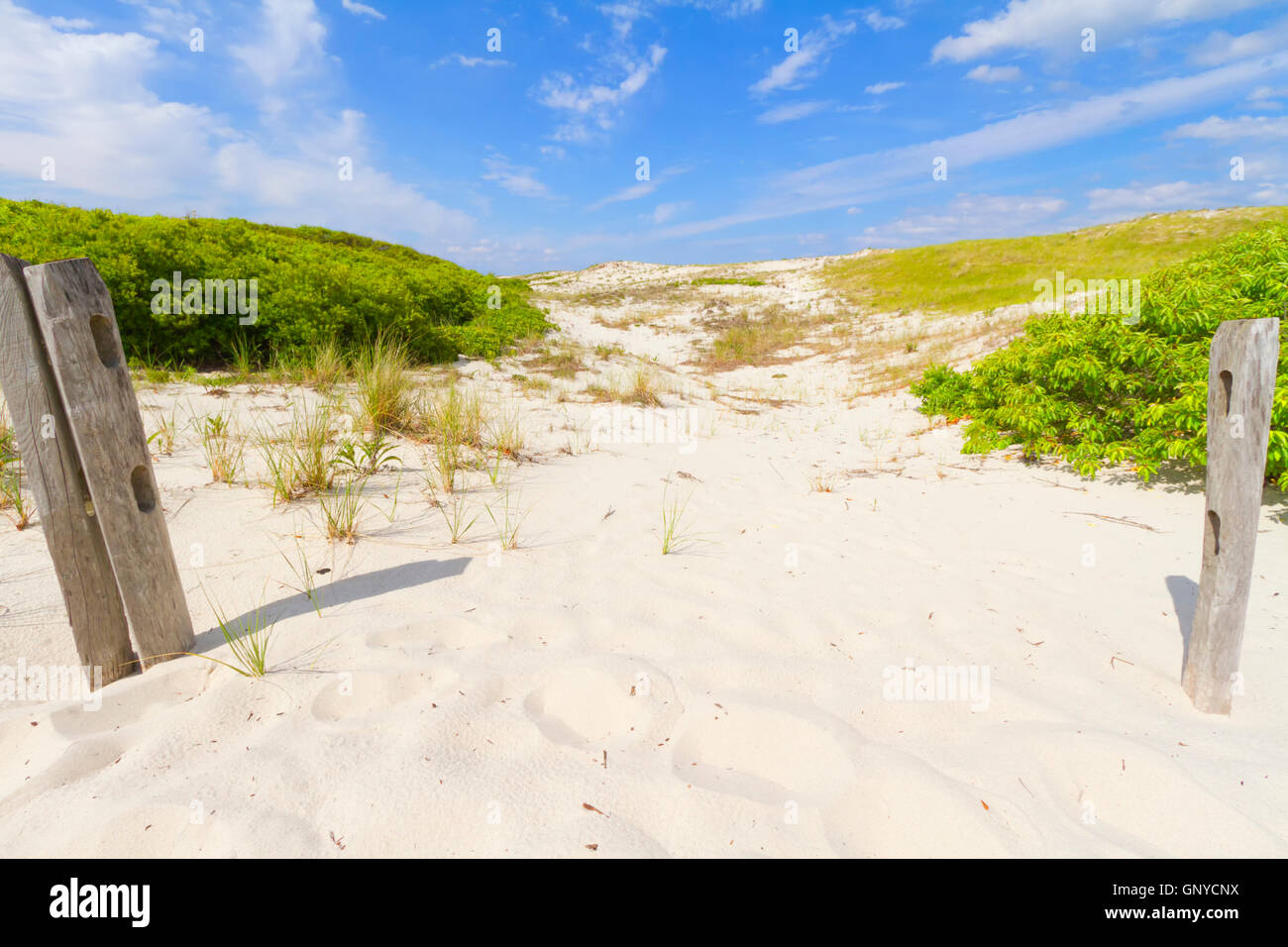 Sand dunes on the beach Stock Photo - Alamy