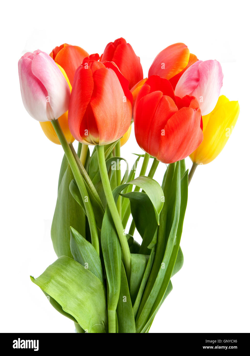 Bunch of tulips Stock Photo - Alamy