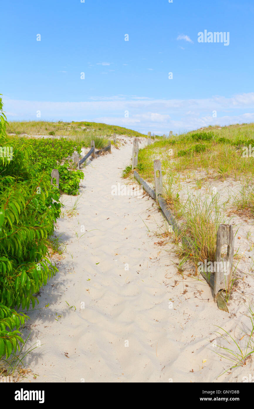 Sand dunes on the beach Stock Photo - Alamy