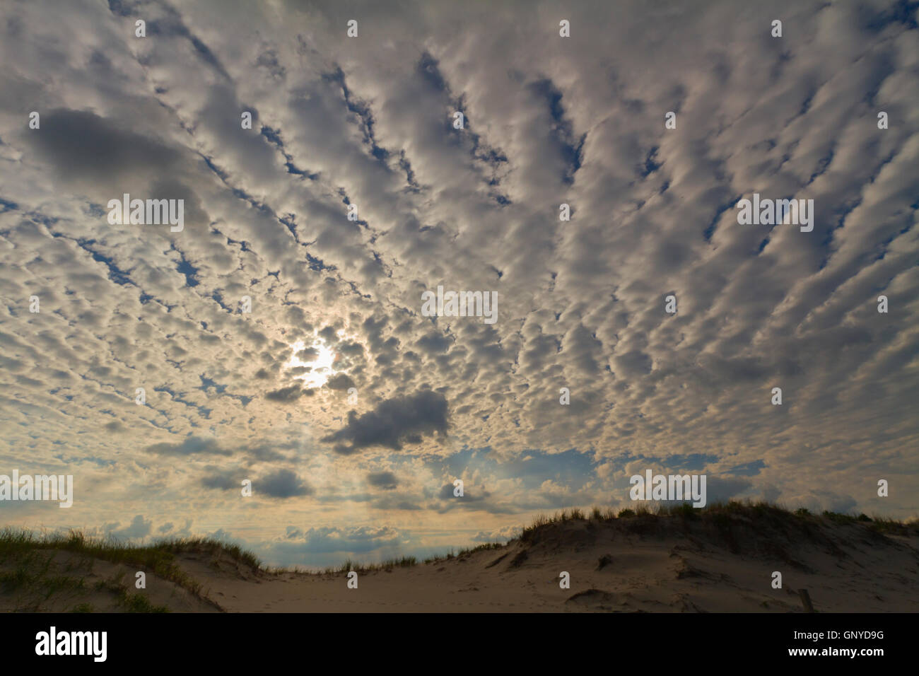 Sand dunes on the beach Stock Photo - Alamy