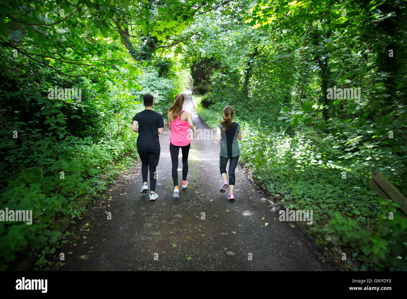 Three friends out running on forest trail, training and exercising. Fitness healthy lifestyle concept. Stock Photo