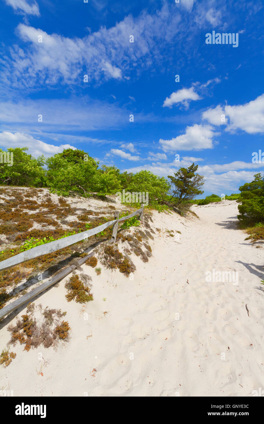 Sand dunes on the beach Stock Photo - Alamy