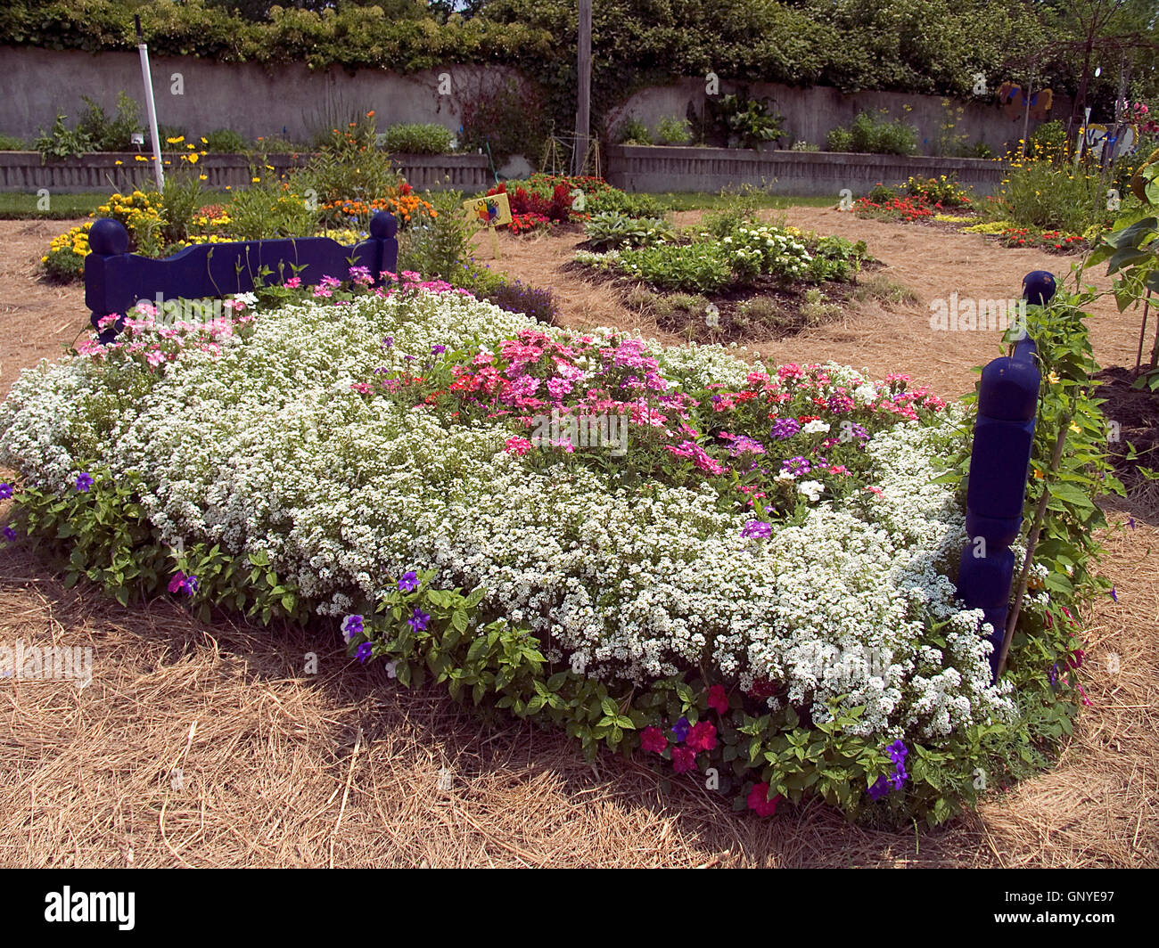 Bed made of flowers in the botanical garden Stock Photo Alamy