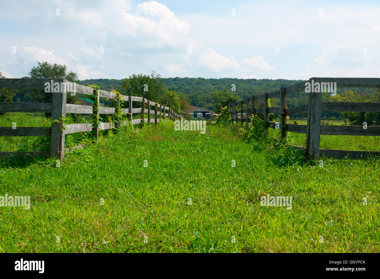 View of the ancient wooden fence on the farm Stock Photo - Alamy