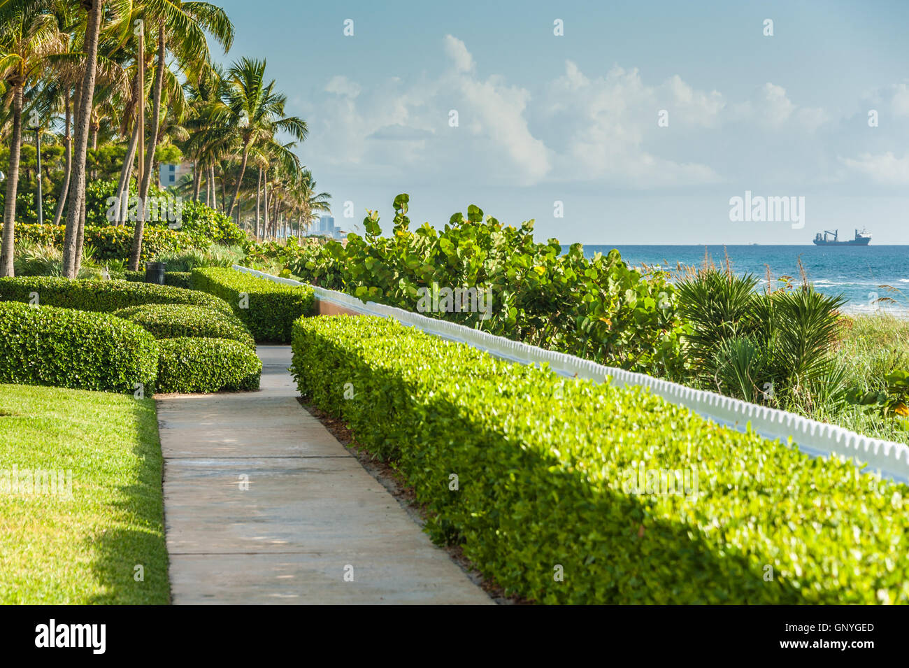 Palm Beach, Florida's beautiful public beach view facing north toward The Breakers and in the distance, Singer Island. (USA) Stock Photo