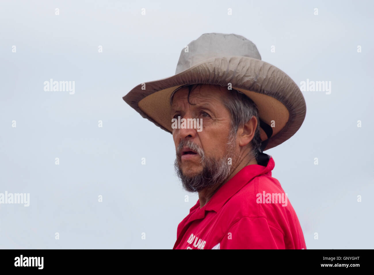 Ice cream salesman at the Chicago air show 2016 Stock Photo